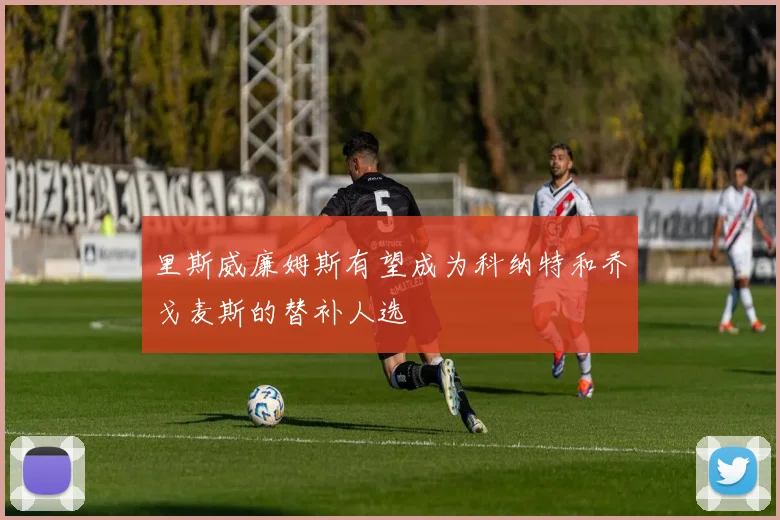 里斯威廉姆斯有望成为科纳特和乔戈麦斯的替补人选