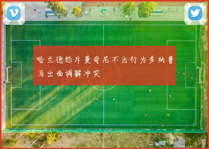 哈兰德怒斥曼奇尼不当行为多纳鲁马出面调解冲突